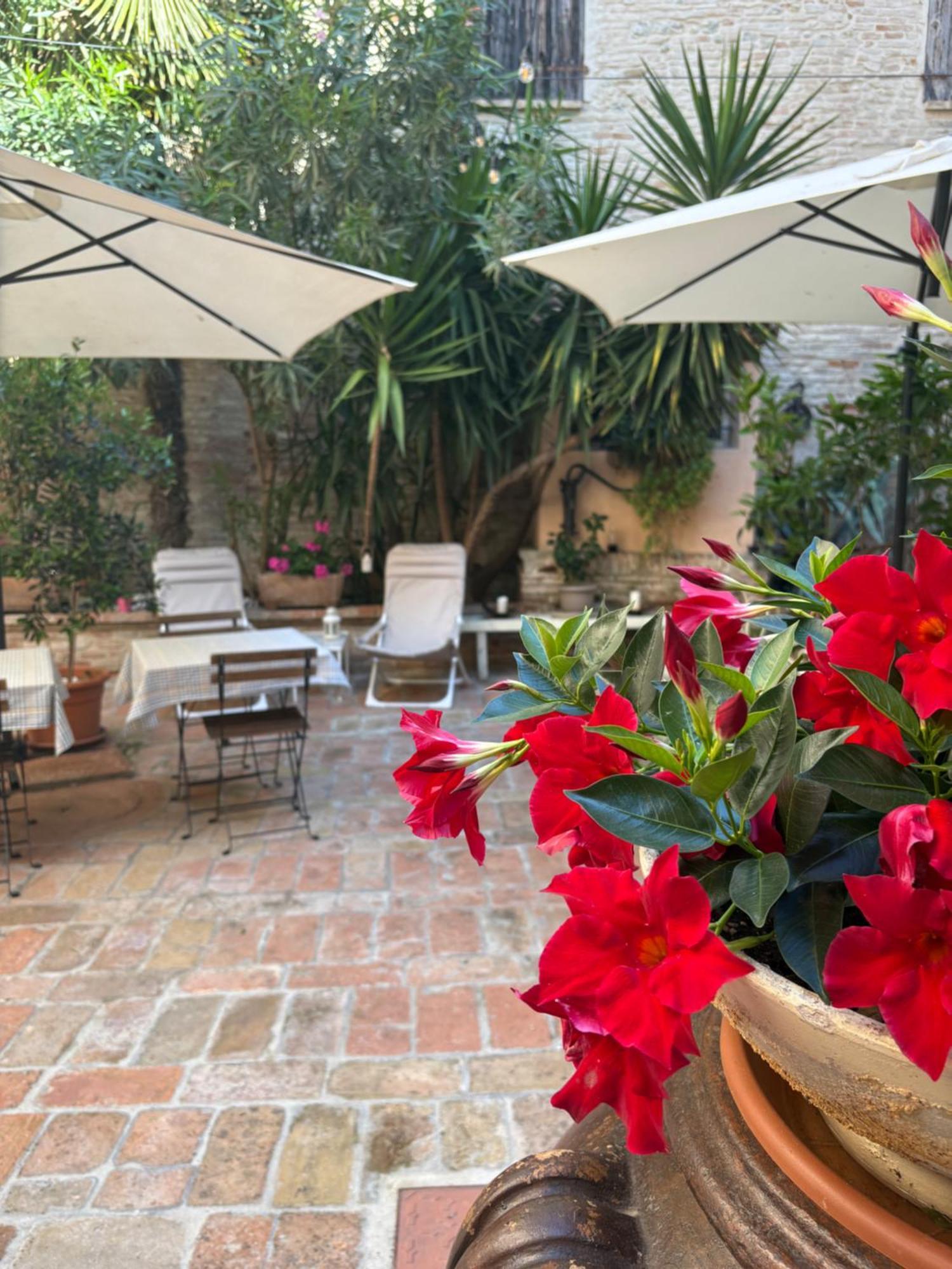 Relais B&B Corte Dei Turchi Longiano Экстерьер фото